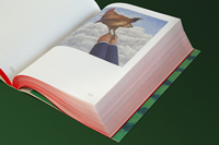 Catalogue d'entreprise personnalisé en papier cartonné, impression offset multicolore IMG/PMS, plastification parfaite