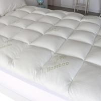 Protège-Matelas Imperméable OEM en Bambou Doux de Qualité Supérieure, Housse de Lit