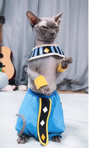 Ropa de algodón para gatos, pantalones con espalda abierta, disfraz de transformación para mascotas - Product Image 3