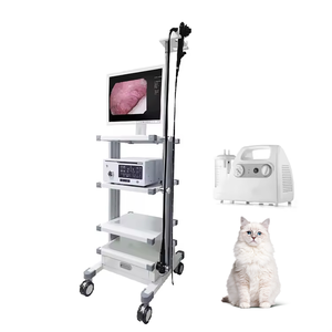 Système de chirurgie endoscopique flexible haute définition médical-vétérinaire, vidéo-gastroscope et vidéo-coloscope électronique - Product Image 1