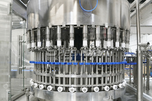 1 yıl uzun garanti dolum makineleri Mini iş meyve suyu makinesi suyu yapma makinesi meyve suyu makinesi meyve suyu makinesi Mango meyve suyu makinesi ry - Product Image 2