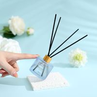 Diffuseur à roseaux de luxe en verre 50 ml, sans flamme, sans alcool, écologique, sans BPA, artisanal, pour huiles essentielles d'aromathérapie, autonomie 2 mois