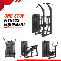 WENDY Équipement de musculation de qualité, Barres parallèles simples à charge par pignon, pour dips, assis, tractions assistées, traction lombaire et étirements