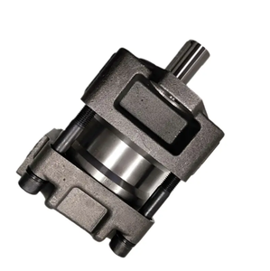 Pompes hydrauliques à engrenages internes série QT QT22 23 QT31 32 33 QT41 42 43 QT51 52 53 QT61 62 63 Pompes simples QT23-8-A QT33-10-A Faible Pression - Product Image 3