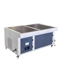 Mesa de Lijado con Sistema de Extracción de Polvo, Filtración del 99.9%, Limpieza por Pulso de Aire
