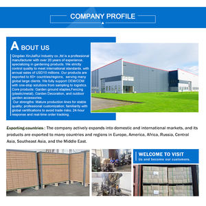 Bottiglie di Plastica Durevoli da 8oz per Spezie con Doppia Apertura, Ideali per Uso Ristorativo - Product Image 6