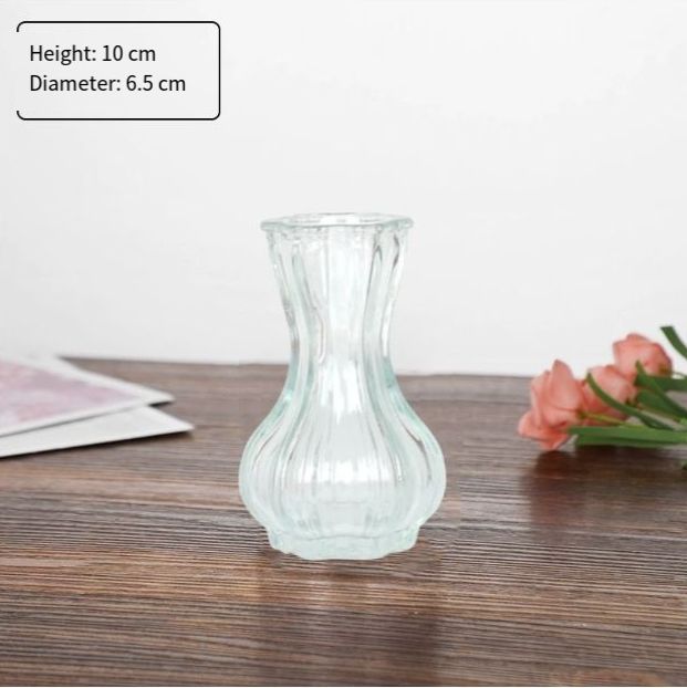 Transparent 10 bulbes d'ail