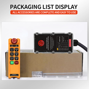 Télécommande sans fil industrielle personnalisée LD-BC6+ robuste, anti-chute, étanche pour équipement de manutention - Product Image 5