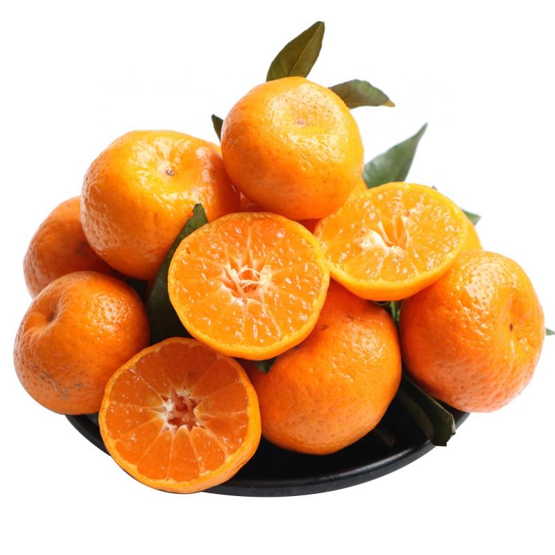 Natural de alta calidad dulce fresco cítrico orgánico cítricos mandarinas naranjas dulce carne azúcar bebé mandarina