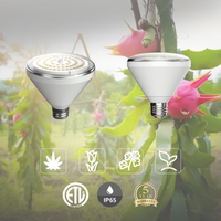 Sansi Ip65 Tuinbouw Buiten Pitaya Drakenfruitplant Geleid Volledig Spectrum Groeilampen