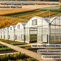 Kits de serres tunnel agricoles à faible coût pour la culture de tomates et de fraises, avec structure en acier galvanisé à chaud et film PE