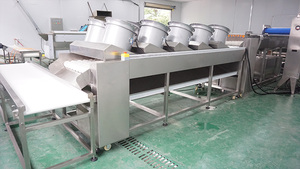 Máquina de Secado de Frutas y Verduras DM-50 Fengxiang, Secador de Aire Frío o Caliente, Línea de Producción Lista para Usar, Tamaños Personalizados Disponibles - Product Image 4