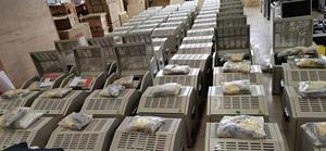 HVHIPOT 100kV 자동 변압기 절연 오일 고장 테스터 BDV 테스터 <span class=keywords><strong>GDOT</strong></span>-100C 1.5kVA 2-3kV/s - Product Image 4