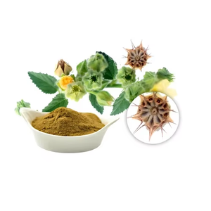 Extracto Herbal Natural de Beej Bandh 3:1 en Polvo, Grado Alimenticio, Ingrediente Derivado de Plantas Silvestres - Product Image 2