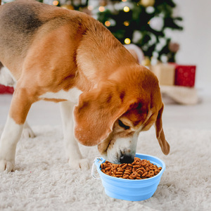 Tazón portátil plegable de silicona para perros y gatos, plato de alimentación de viaje, forma redonda con gancho de mosquetón - Product Image 3
