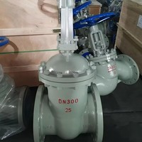 Vanne à opercule en acier inoxydable 1/2"-2-1/2" DN15-DN65 316L/304/CF8M/CF3M/Duplex/2507 Classe 800-1500 NPT en stock