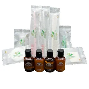 Supply Environmental Protection Packaging Disposable Guest Room Hotel Amenities