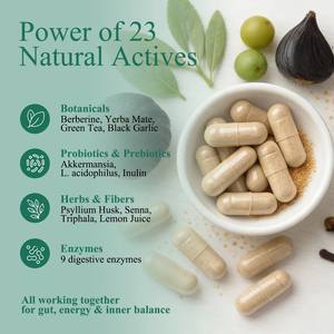 Pilules de perte de poids GMP Factory GLP-1 pour le contrôle de l'appétit, l'exercice et la gestion du poids, la combustion des graisses, la santé intestinale, le soutien à la perte de poids Keto - Product Image 2