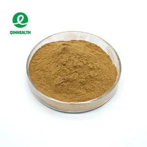 Pure Natural Burdock Root Extract Powder 10% 20% Burdock Extract