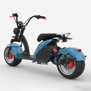 Moto électrique à roues en aluminium très vendue en France avec certificat EEC/COC, scooter électrique Citycoco avec pneus larges de 12 pouces - Product Image 5