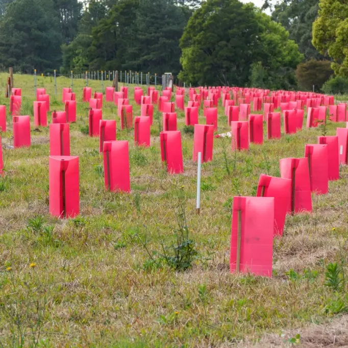 Wasserdichter PP hohl gewellter Blumenträger UV-schutz Koroplast-Geflügelter Baumträger faltbarer Samenschutz
