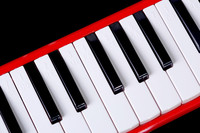 Bee Brand Professional Study Melodica 32 Keys Multi-color Stainless Steel Reedplate for Students Soft Bag Packing BM32K