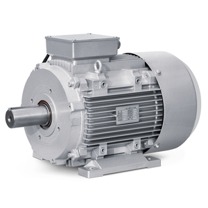 NEMA phổ khung 145 460/480V thép cán tefc động cơ - Product Image 5