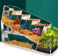 Aquarium carré lumineux à 4 compartiments, écologique et mignon, pour petits poissons Betta, idéal pour le salon – Le choix des influenceurs