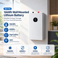 Batterie lithium Deye 16 kWh murale 51,2 V 314 Ah, pack de batteries lithium polymère rechargeable pour système solaire domestique