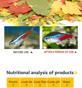 Acuario de alta calidad, peces pequeños ornamentales tropicales, mejora del color, <span class=keywords><strong>Comida</strong></span> para peces en escamas - Product Image 4