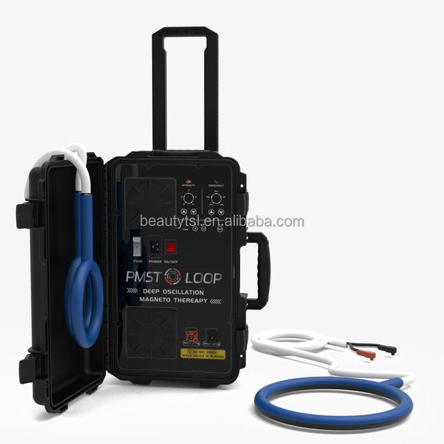 PEMF Physiotherapy for Horse Animal Pmst Loop PMFT Loop Max Power 6000 Gauss Sports Injury Pain Relief