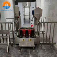 Machine de lavage automatique de bottes avec contrôle d'accès, fonction de désinfection et de séchage, pour usine alimentaire, en acier inoxydable 304