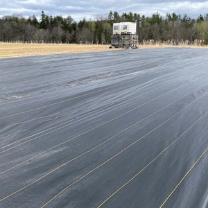 Nông nghiệp vườn thấm Vườn Ươm cắt dệt PP nhà kính nhựa cỏ vải Bìa Weed kiểm soát Mat rào cản vải - Product Image 3