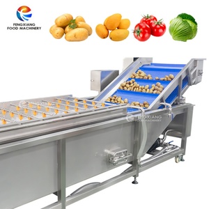 Machine à laver industrielle à bulles d'air pour légumes et fruits WA-U-3000, machine à laver les mangues - Product Image 3