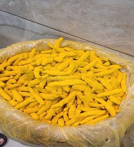 Cúrcuma Fresca de Calidad Superior para Exportación, Grado Alimenticio, Curcumina Pura, Prensada en Frío, Limpia con Máquina, Mejor Precio al por Mayor - Product Image 1