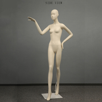 Soporte de Maniquí de Torso para mujer, pantalla transparente de fibra de vidrio, escaparate de ventana personalizado gratis para adultos, FRP de cuerpo completo