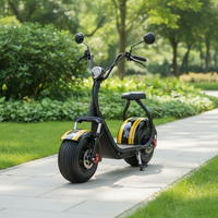 Scooter électrique de ville le plus vendu au Brésil, pneus larges, 1000W, batterie lithium 60V, étanche, City Coco
