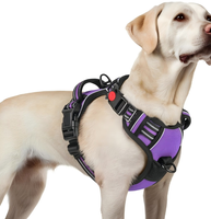 Harnais pour chien réglable à libération rapide, anti-traction, avec conception ergonomique, en maille respirante, réfléchissant et robuste
