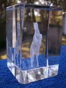 Etched Stallion 3D Laser Horse Glass Crystal Cube Block Paperweight