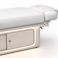 Lit de beauté électrique avec armoire de rangement, base à lumière d'ambiance LED, télécommande, hauteur réglable, lit de soin du visage pour salon de beauté et spa