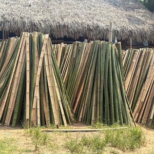 Medio tubo Eco Bamboo para jardineras hidropónicas verticales - Product Image 1