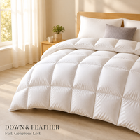 Couette en duvet de canard moelleux, garnie de plumes et de duvet, couette blanche pour lit, housse avec 8 languettes aux coins, insert de couette en duvet pour hôtel