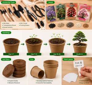 DIY Eco-Friendly <strong>Bonsai</strong> <strong>Tree</strong> Kit Customized Pots Stands Modern Small Indoor/Outdoor Use Desktop Display Various <strong>Seeds</strong> - Product Image 4