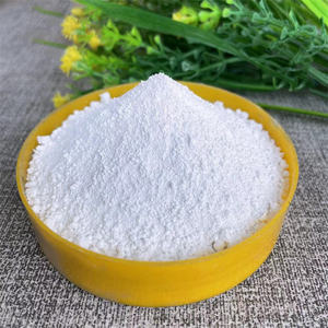 Polvo de Dióxido de Titanio a Nivel Nanométrico (CAS 13463-67-7) Pureza Industrial del 99% / Pigmento Multifuncional con Filtro UV para Cosméticos - Product Image 2