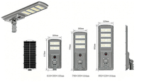 Fabricant Professionnel, OEM Personnalisé, Lampadaire Solaire Tout-en-un 30W 40W, Lampe Solaire pour Résidences et Communautés
