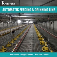 Ligne d'alimentation automatique en plastique PP pour volailles, conception avancée, équipement d'élevage de poulets de chair en élevage plat, marque RAISETECH