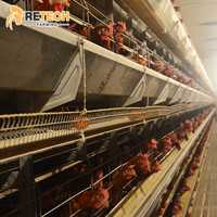 Cage à poulets à 3 niveaux de type H Retech, système d'alimentation automatique galvanisé, cage en batterie pour équipement d'élevage avicole