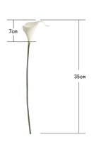 Bunga Calla Lily Tunggal Berkualitas Tinggi Gaya Modern Multiwarna Buatan Ramah Lingkungan Dapat Didaur Ulang Laris Manis untuk Thanksgiving Natal