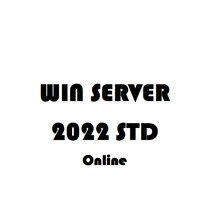 Serveur Windows 2022 Standard - Envoyer sur Ali Chat