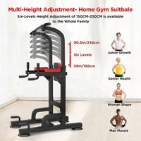 Torre de Ejercicios para Gimnasio, Estación de Dominadas y Flexiones con Barra de Dominadas para Desarrollo Muscular y Accesorios de Pelotas